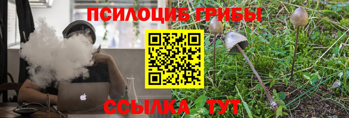 Галлюциногенные грибы Cubensis  продажа наркотиков  Нижний Новгород  Вход с VPN 
